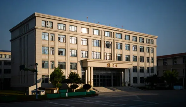 如何高效利用行业分类导航提升信息检索效率